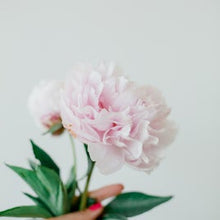 Load image into Gallery viewer, Pink Peony Wax Melts
