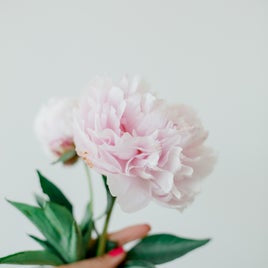Pink Peony Wax Melts